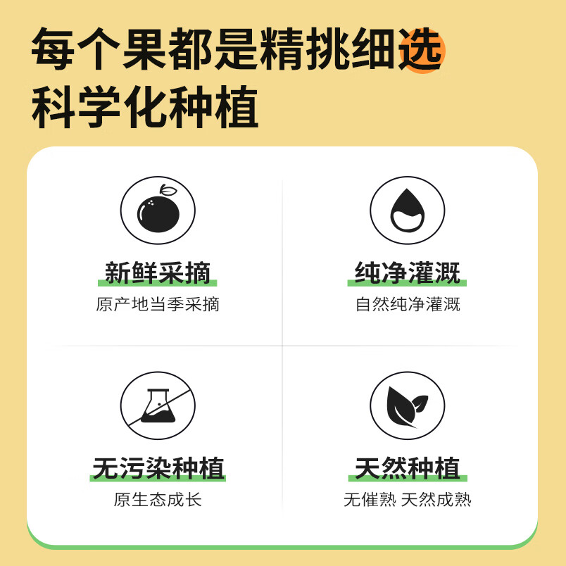 鞍山南果梨新鲜水果鞍山特产南国梨地标产品鞍山特产源头直发礼盒 黄南果梨4.5斤单果70g+【京东快递】
