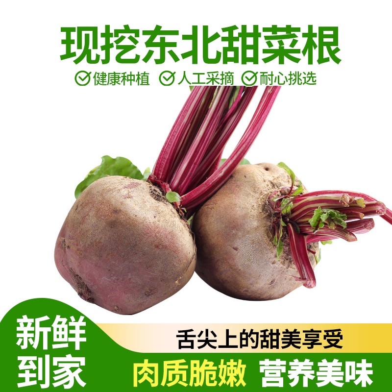 【发货中】东北甜菜根新鲜甜菜头2500新鲜蔬菜红菜头红萝卜心里美 5斤