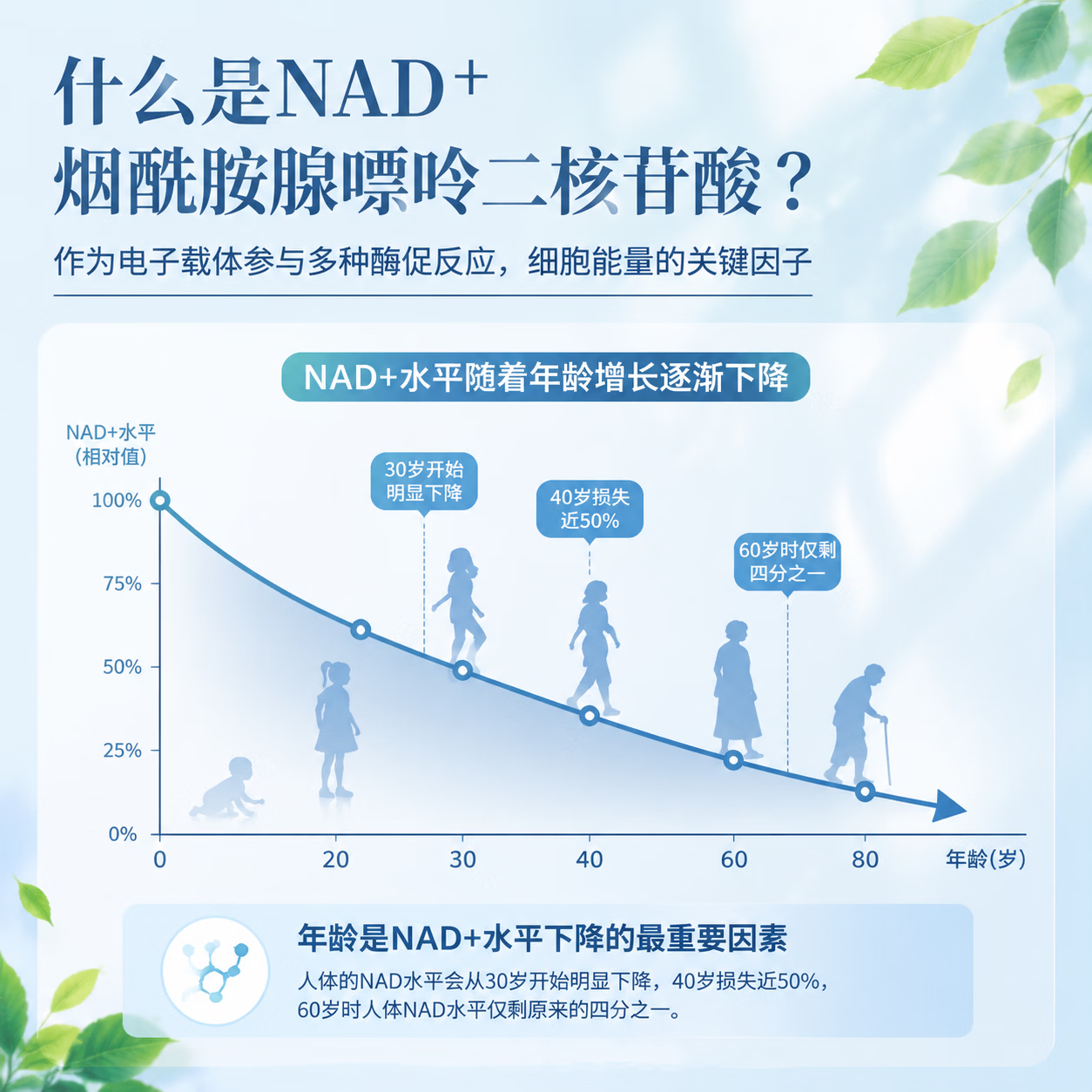 QTYNMN日本原装进口 诺云生物原料β-烟酰胺单核苷酸NAD+nmn抗衰保健 12000mg/瓶 60粒*1瓶 200mg/粒