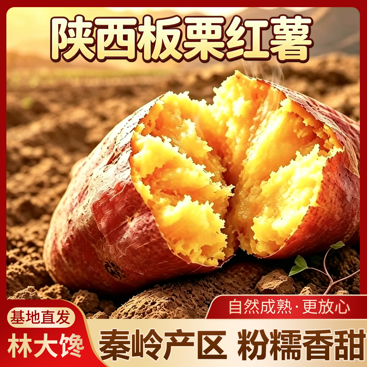 林大馋陕西正宗板栗红薯净重4.7斤 13.9元 - 86线报