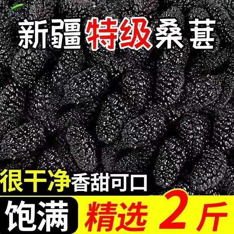 【特级桑葚干】正宗新疆黑桑葚精选大颗粒无硫桑葚批发价中药材 桑葚干 1000g*1袋