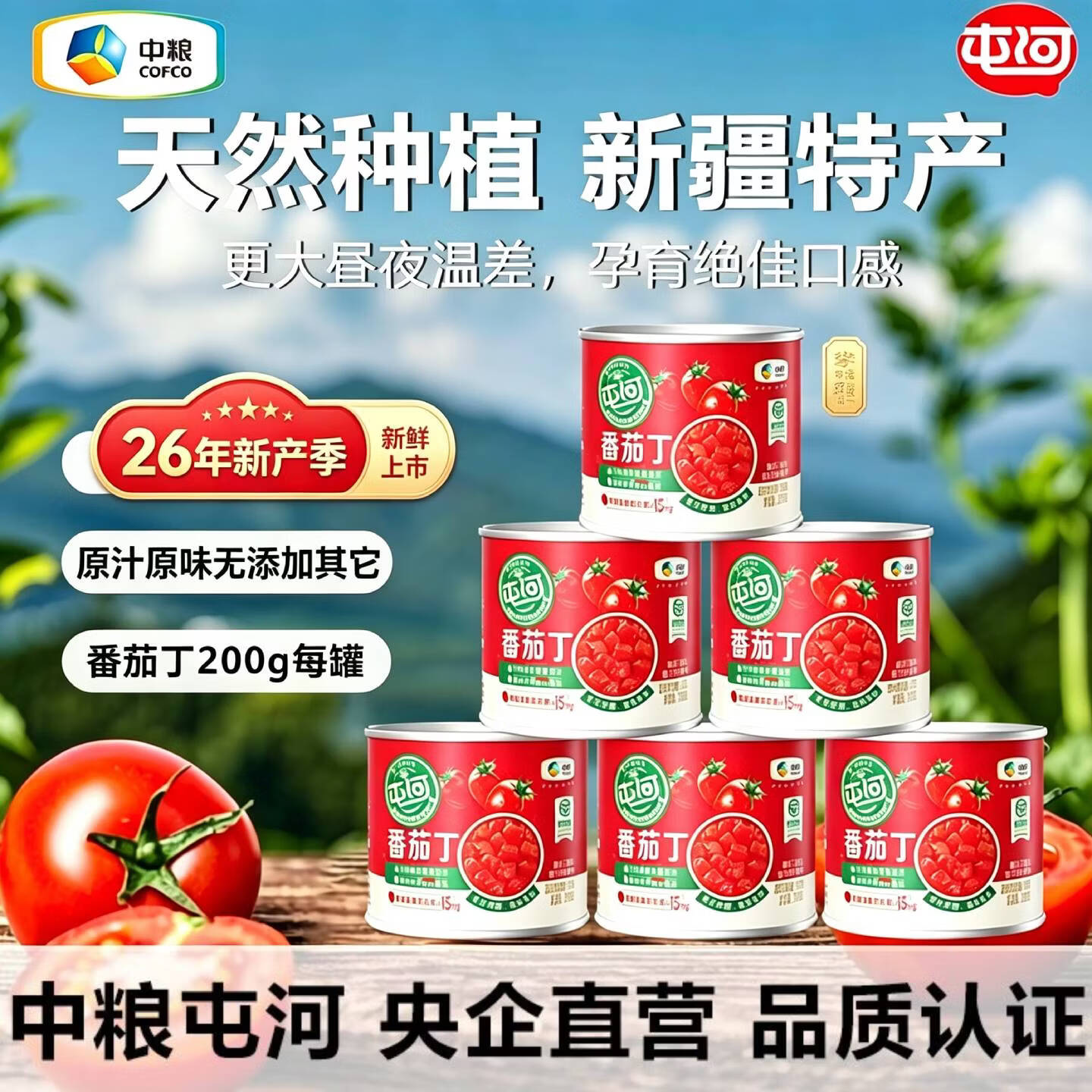 屯河【26年新产季】中粮屯河番茄丁西红柿罐头新疆新鲜天然家用食材 24罐*屯河番茄丁200g【26年新采摘】 4800g 2箱柿柿和谐 中粮集团 严苛品质出品