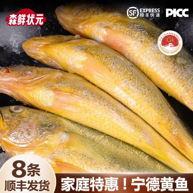 森鲜状元宁德地标海捕大黄鱼整条鲜冻黄花鱼新鲜深海鱼冷冻生鲜速冻水产鱼 8条装(共4斤~4.8斤)蒜瓣肉质