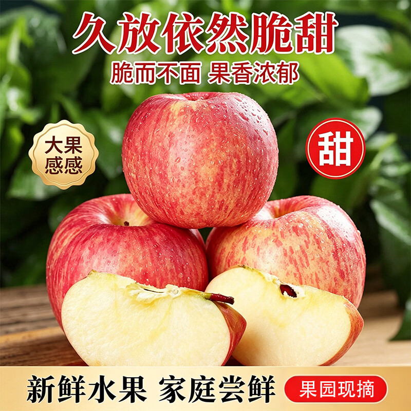 莎凰山西运城红富士苹果 新鲜水果当季现摘 脆甜多汁自然果香果园直发 净重4.5斤【果径75mm+】 京东折扣/优惠券