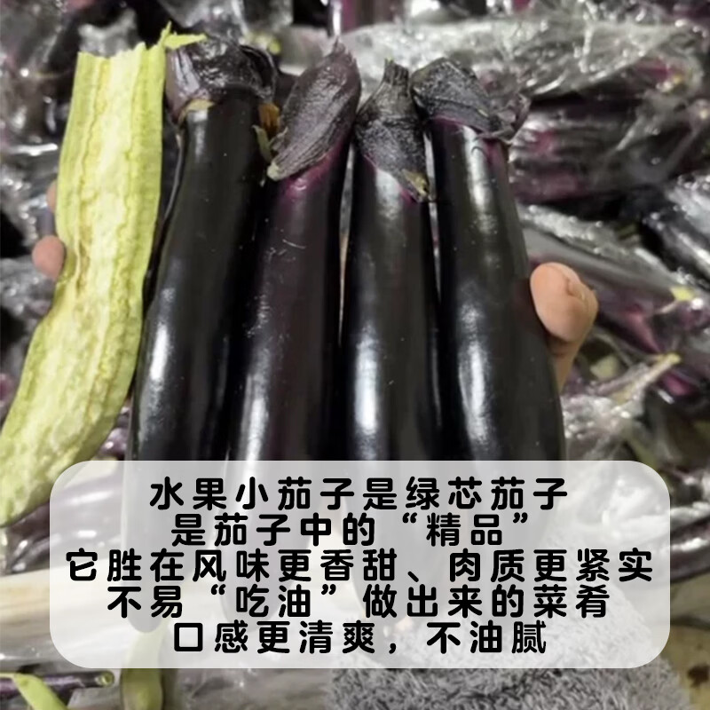 东北水果小紫茄子蒜茄子紫把新鲜蔬菜现摘现发农家自种当季可生吃 蒜茄子专用小茄子 5斤 大约30根左右小