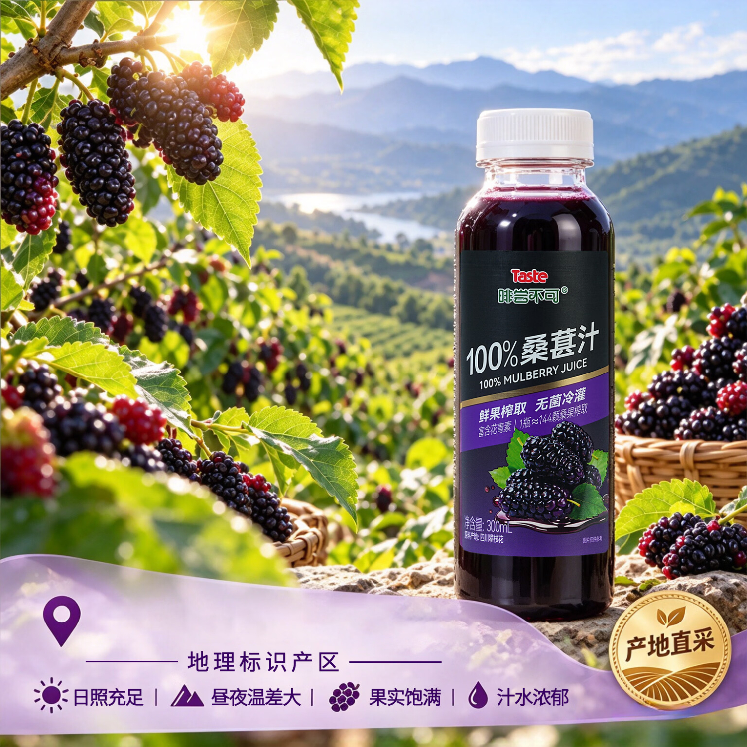 啡尝不可Taste100%桑葚汁鲜果榨取无添加 300ml*10瓶