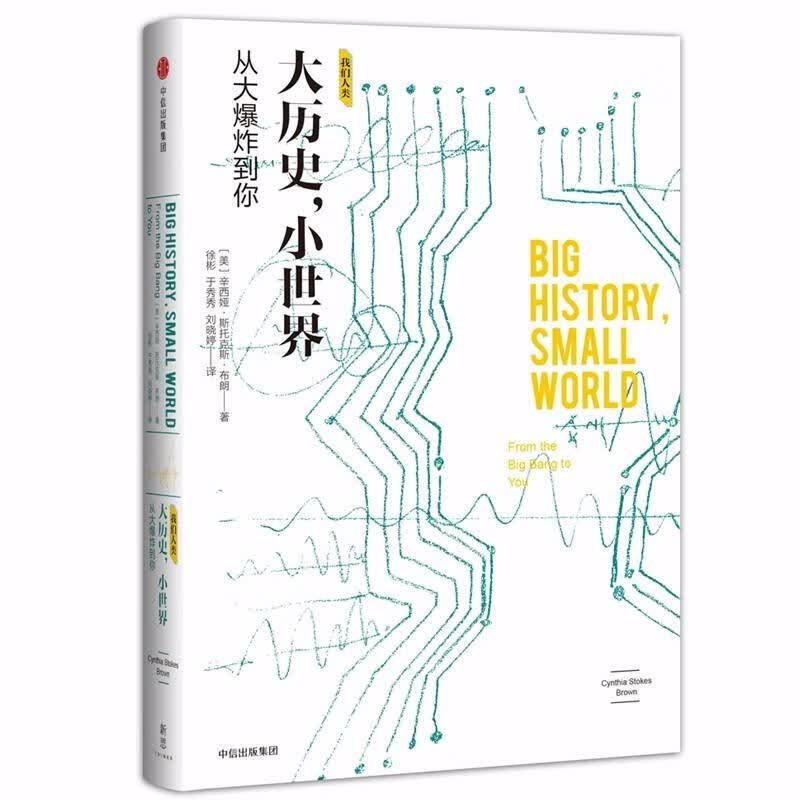 我们人类 大历史，小世界 从大爆炸到你 新思文库系列