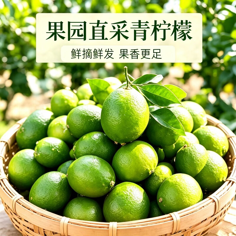 正宗塔希提无籽青柠檬鲜果薄皮榨汁奶茶专用新鲜柠檬大果多汁批发 无籽塔希提青柠檬,精选:带箱9-10斤【单果50-150克】