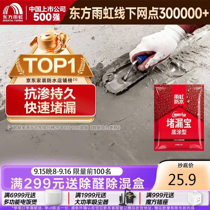 雨虹防水 堵漏王 水不漏 快干水泥 堵漏宝塑钢泥 地漏安装 管根堵漏 4KG