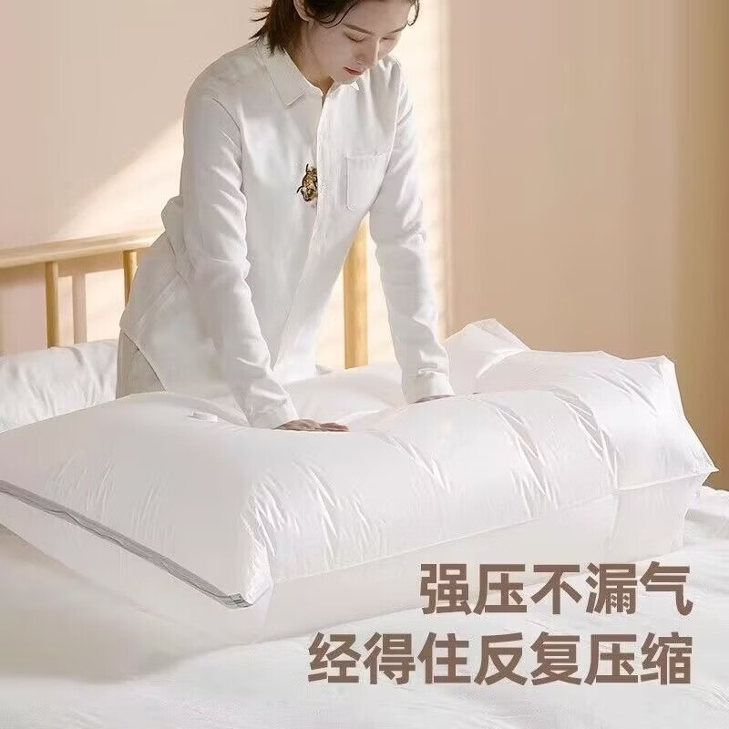 恬舒免抽气真空压缩袋按压轻松收纳大容量节省空间透明可视收纳袋 免抽气真空压缩袋【透明】5个装 小号【40*60*32cm】
