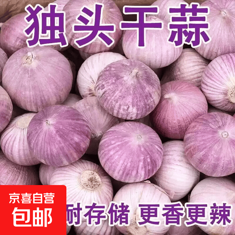 云南独头蒜 来自高原的珍珠蒜大小如珍珠一口一整个品味高原味道 精选14个单果2.0-2.5cm左右