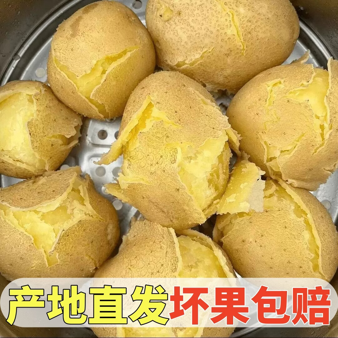 黄六爷正宗甘肃定西黄心土豆新鲜现挖高原马铃薯沙地麻皮洋芋产地直发 精选中果5斤（美味乐享） 单果200-300g