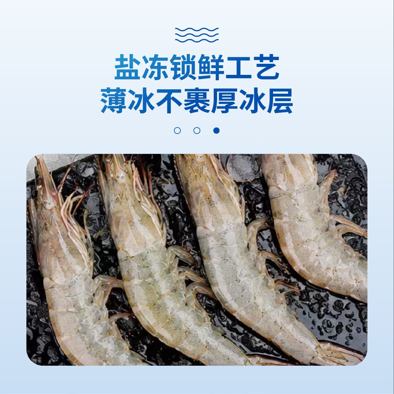 赣榆海鲜厄瓜多尔白虾鲜活冷冻南美白对虾特大号野生捕捞肉质紧实 40-50盐冻大虾 3斤(净重) 南美白对虾