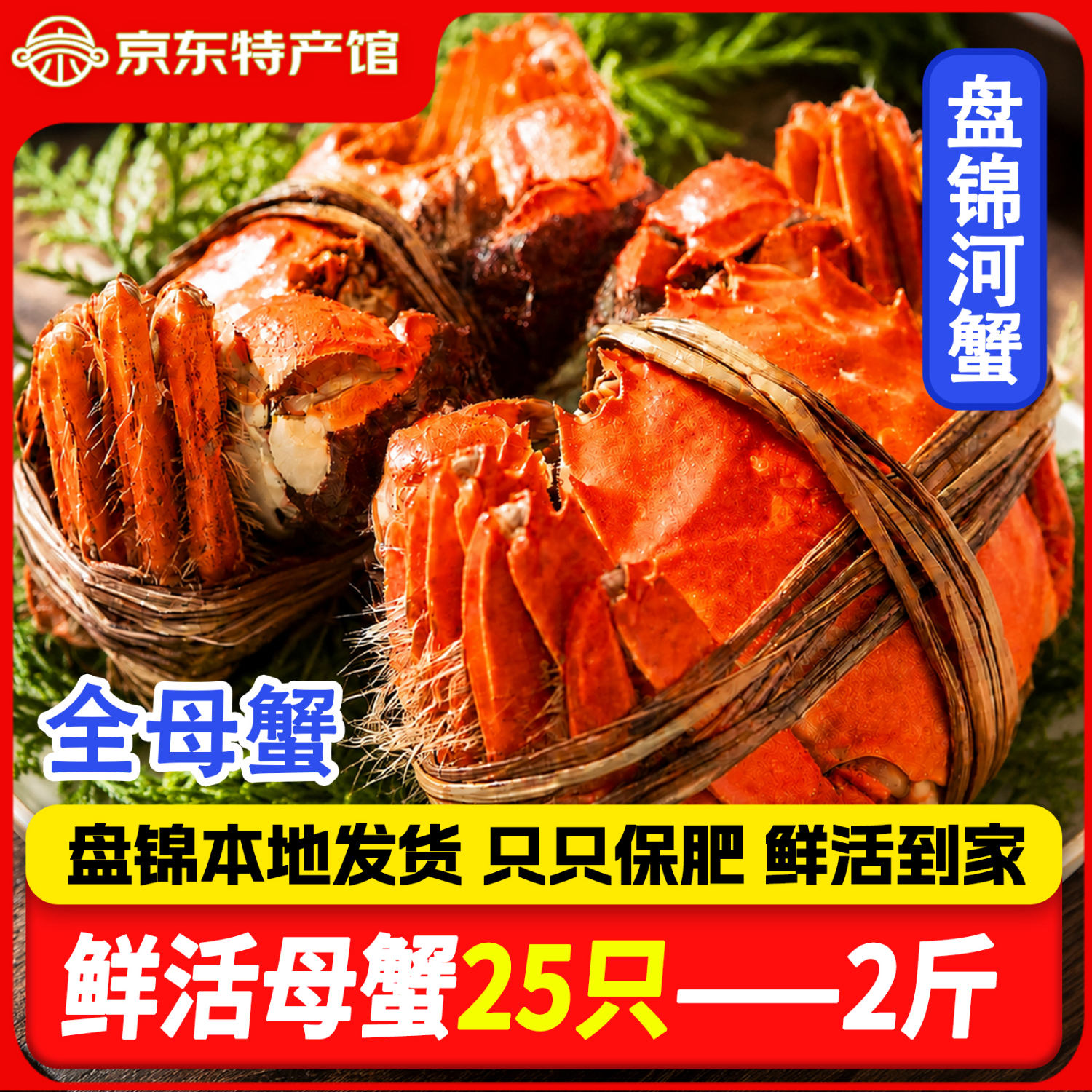 稻田河蟹鲜活【活蟹】盘锦稻田蟹 手工挑选无绳净重顺丰包邮 螃蟹 全母蟹丨0.8-1.1两【礼盒装】25只 京东折扣/优惠券