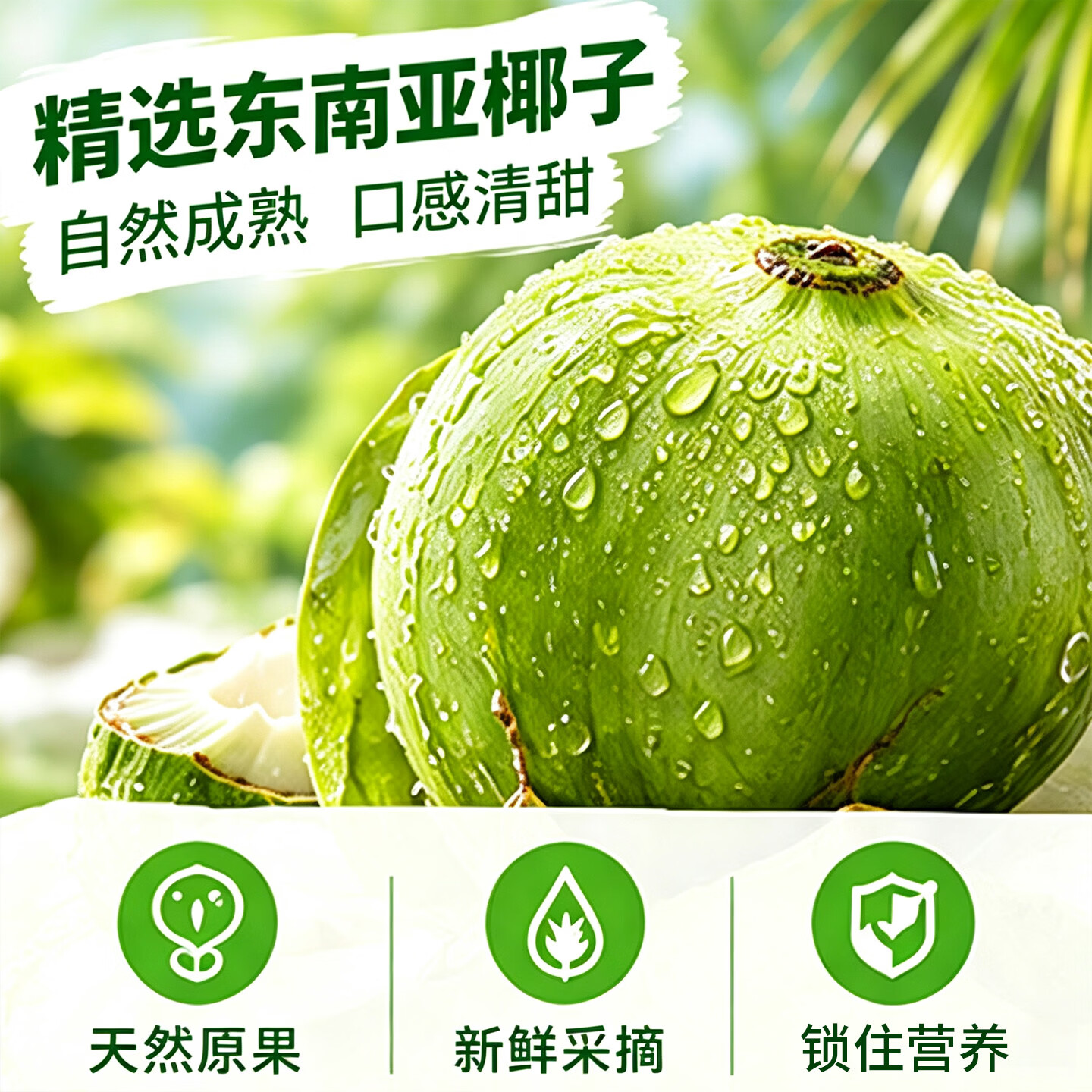 颜小萌椰子水椰汁0脂肪电解质饮料245ml瓶装便携款整箱送礼 100%椰子水245ml*10瓶