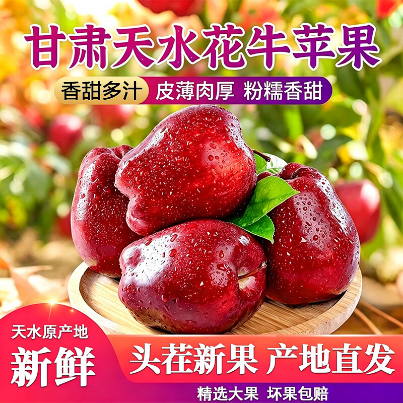 莎凰甘肃天水花牛苹果水果面苹果当季新鲜水果 中秋送礼 净重4.5斤 单果70mm+
