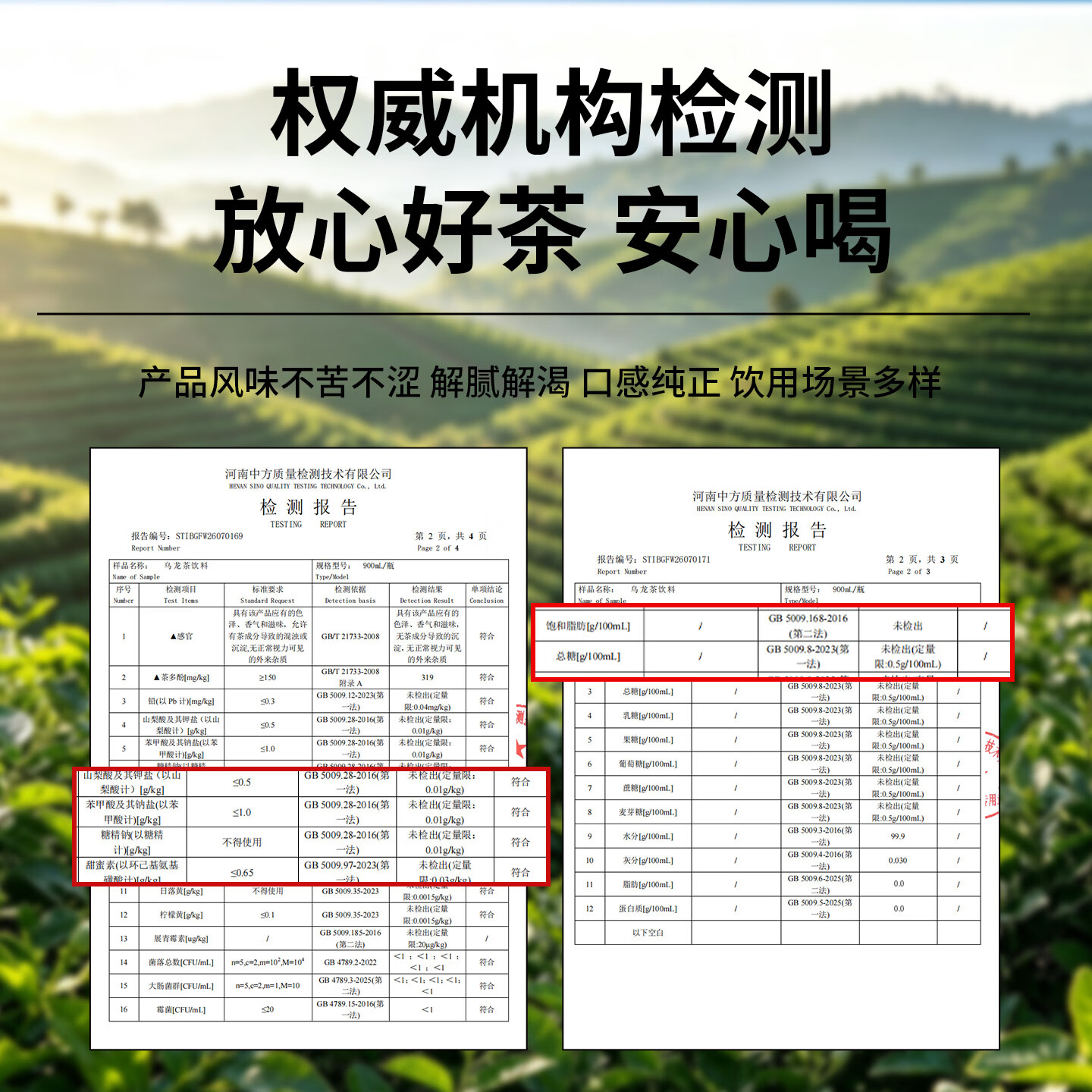 茶小宗无糖茶饮料零糖零脂零卡900ml大瓶装 整箱装 冷萃乌龙900ml*3瓶(外包装纸箱)