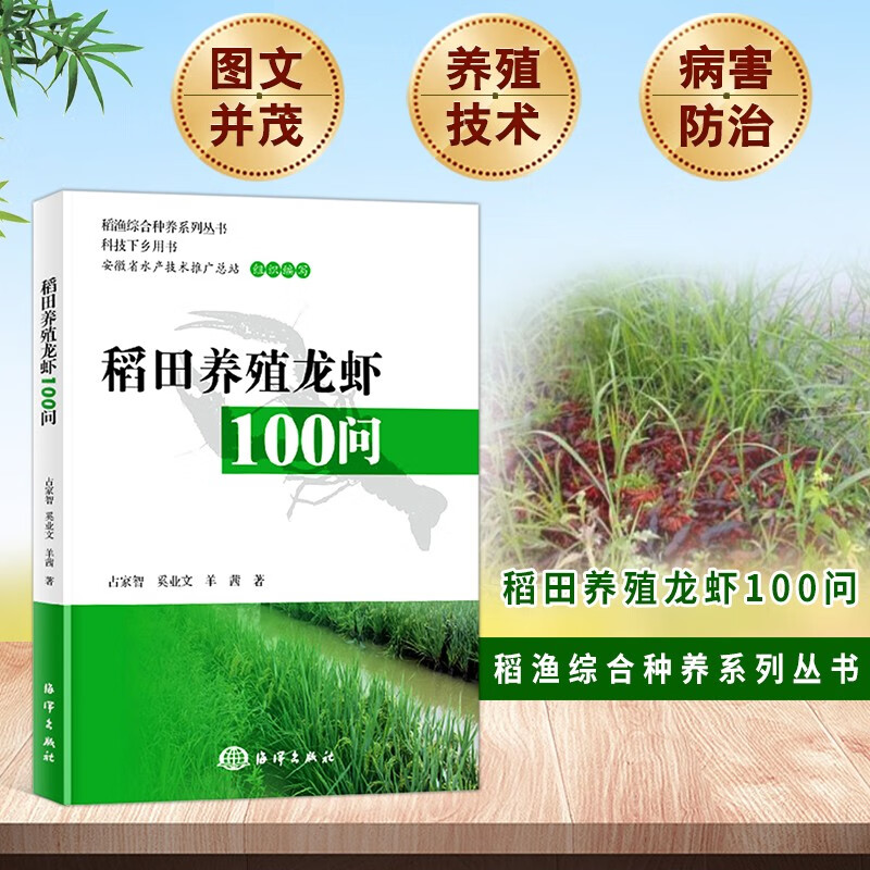 养龙虾教程(养龙虾技术视频)