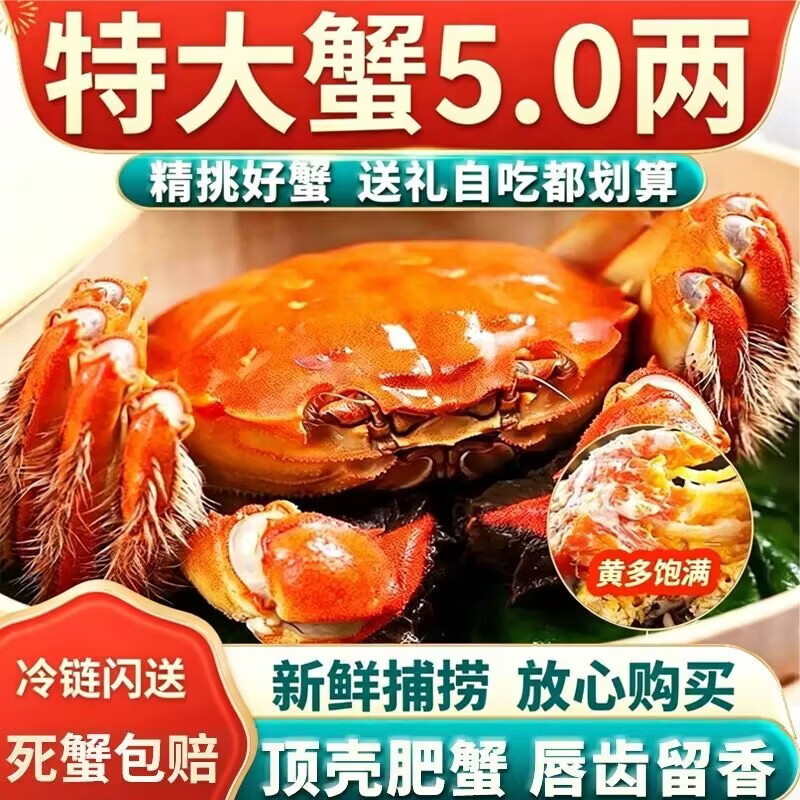 【活蟹】洪泽湖大闸蟹鲜活螃蟹母3.5-3.8公4.0-4.3两6对12只批发 全母【2.5-2.8两】10只