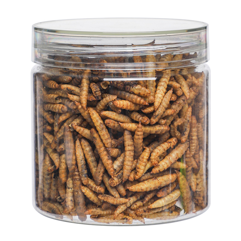 威毕芦丁鸡育雏产蛋专用饲料幼鸡开口粮黑水虻虫干高蛋白营养零食粮食