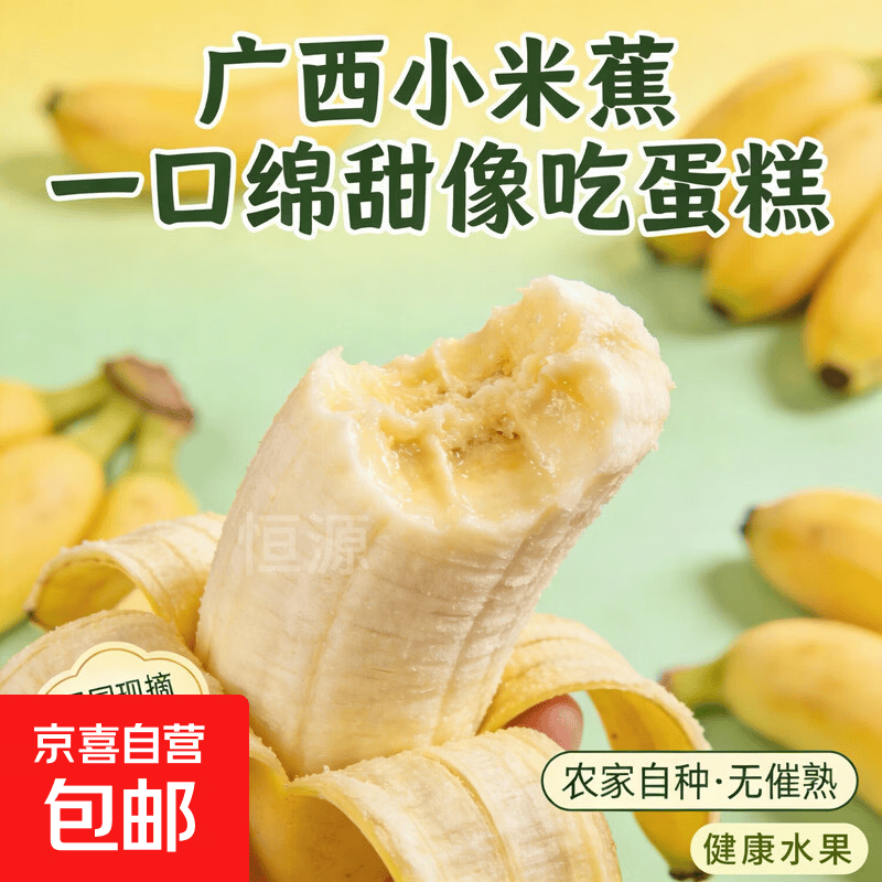 京喜加正宗广西小米蕉软糯香甜细腻新鲜采摘原生芭蕉鸡蕉产地直发 小米蕉带箱2斤