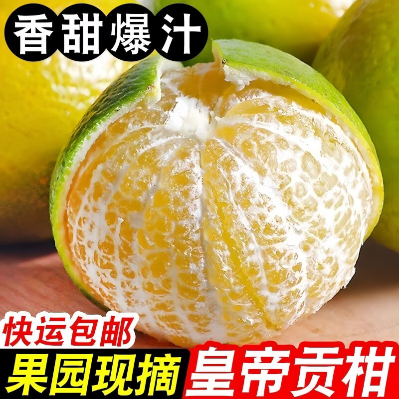 豔疅正宗广西皇帝柑新鲜当季水果大果青黄皮蜜桔柑橘橙子酸甜多汁生鲜 净重4.8-5斤【中果】约29-30个|单果55-60mm