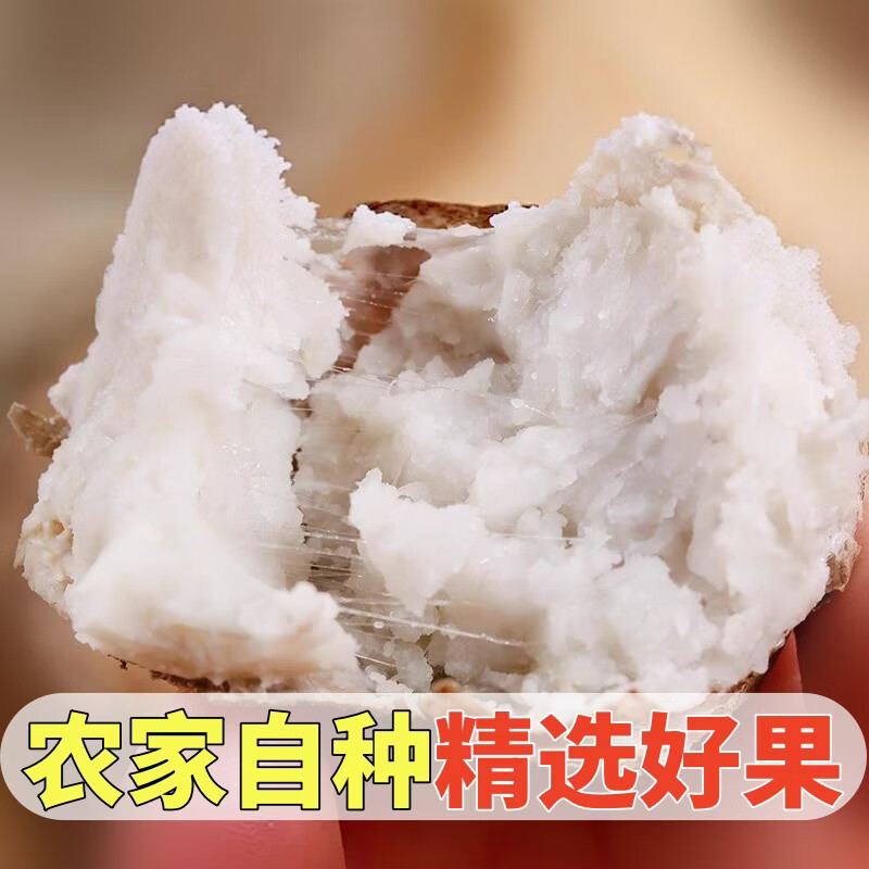 黄六爷正宗山东牛奶小芋头新鲜软糯产地直发农家自种孕妇宝宝辅食代餐 实惠中果 30g+ 5斤(美味乐享)