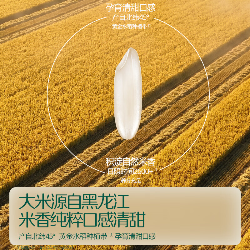 英氏(Engnice)婴幼儿宝宝零食米饼 五彩果蔬小圆饼 量贩囤货出游 【100片】婴标五色小圆米饼200g