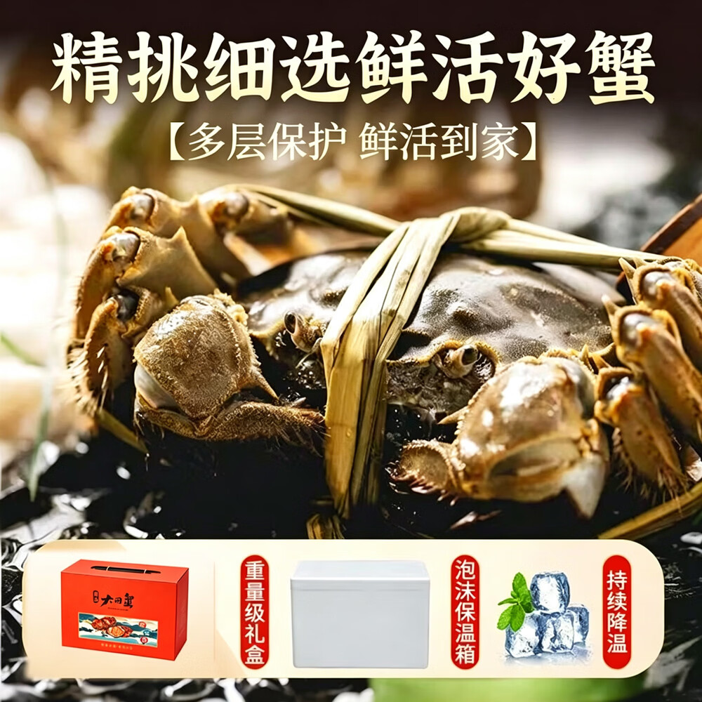 【活蟹】中秋礼盒大闸蟹现货鲜活满黄螃蟹母蟹2-2.3两（6只装） 母蟹2-2.3两（6只装）【精品礼盒】