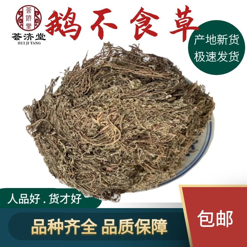 荟济堂 鹅不食草食胡荽新鲜干货干净无杂