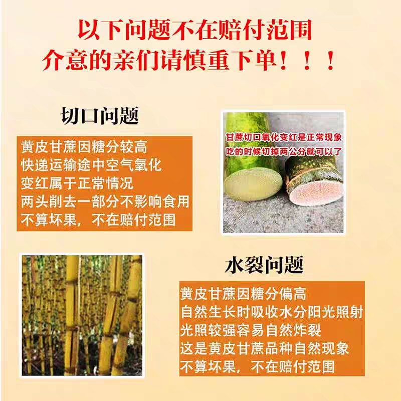 豔疅正宗广西黄皮甘蔗特产新鲜应当季生鲜水果整箱热带水果黄皮脆甜蔗 净重9-10斤【精选中段|配刀】砍断发货