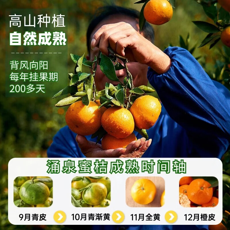 蒲恋临海涌泉蜜桔【顺丰快递-多地次日达】新鲜蜜桔黄岩橘子水果送礼 S+级特级果丨单果60-70mm 5斤装【精美礼盒-送礼力荐】净重4.5斤