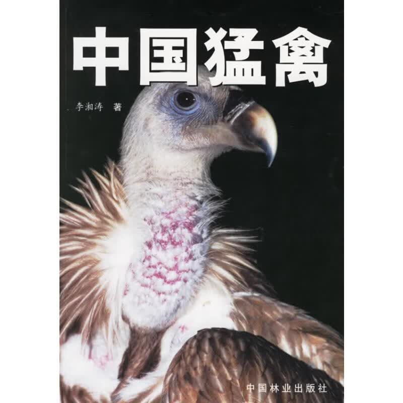 中国猛禽