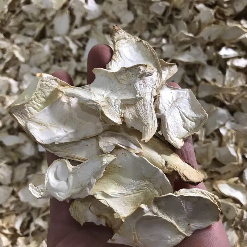 产地直供杏鲍菇干货散装批发500g干贝菇素食食材菌汤包料
