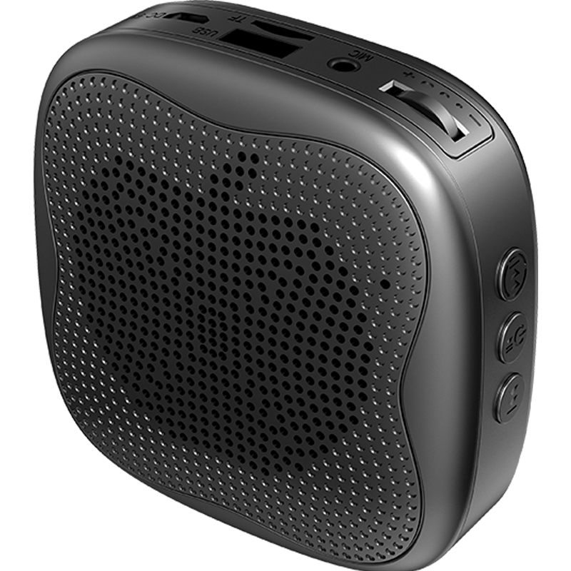 雅兰仕 (earise) h1小蜜蜂扩音器教师蓝牙音箱腰挂麦克风导游u盘插卡