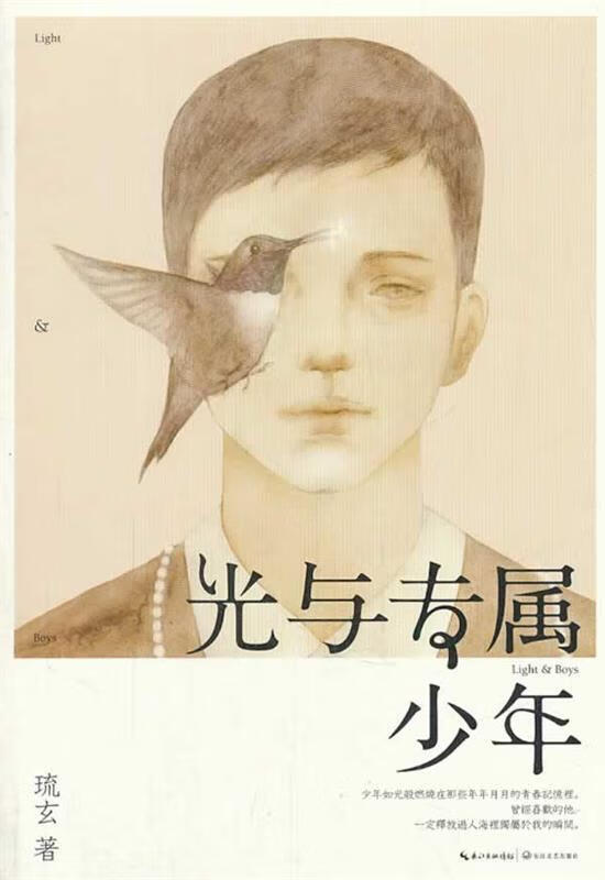 光与专属少年【正版图书，放心购买】