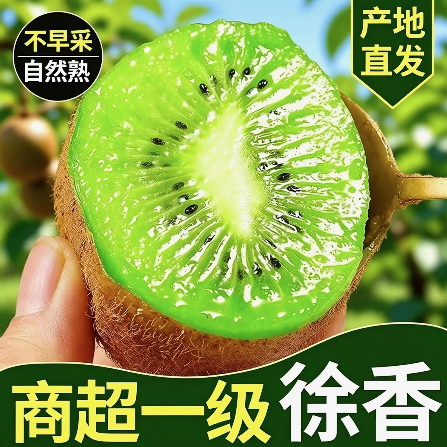 产地直销陕西眉县猕猴桃徐香10斤奇异果5斤水果大果包邮商超特大 中 10斤