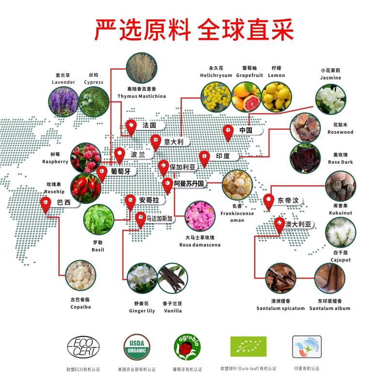 芳香世家香海岸山茶籽洗发乳改善干枯毛躁柔顺亮泽清爽净澈 300ml