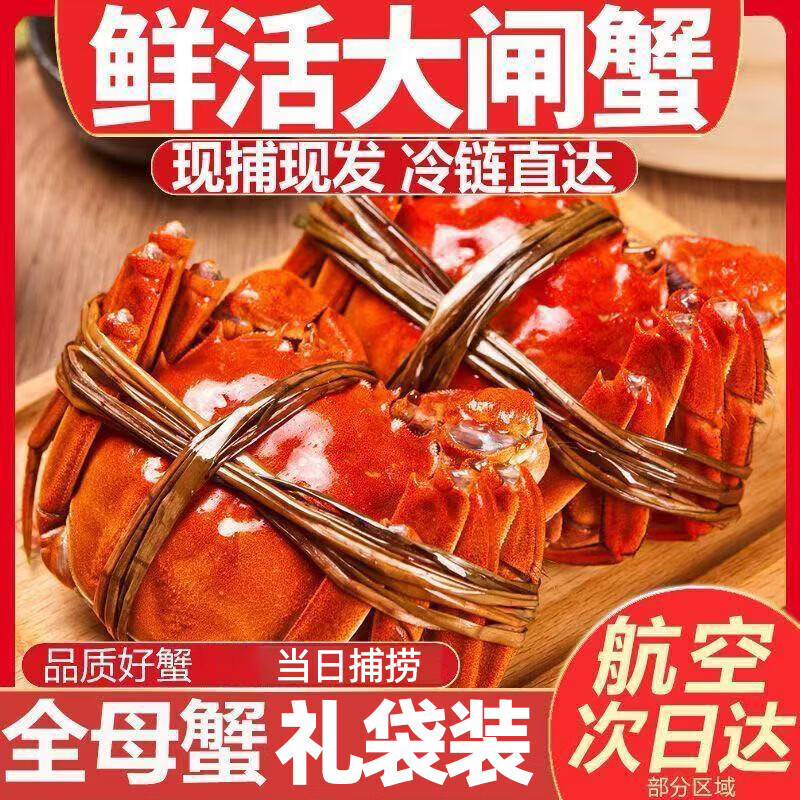 【活蟹】洪泽湖大闸蟹鲜活螃蟹母3.5-3.8公4.0-4.3两6对12只批发 全母【2.5-2.8两】10只