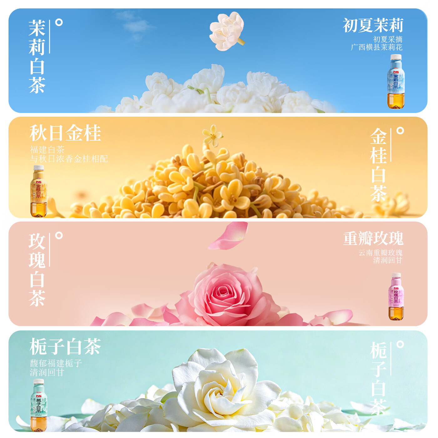 那川高山茉莉玫瑰白茶乌龙青柑普洱无糖茶 纯茶解渴饮料500*15瓶整箱 高山3+茉莉3+栀子3+玫瑰3+金桂3