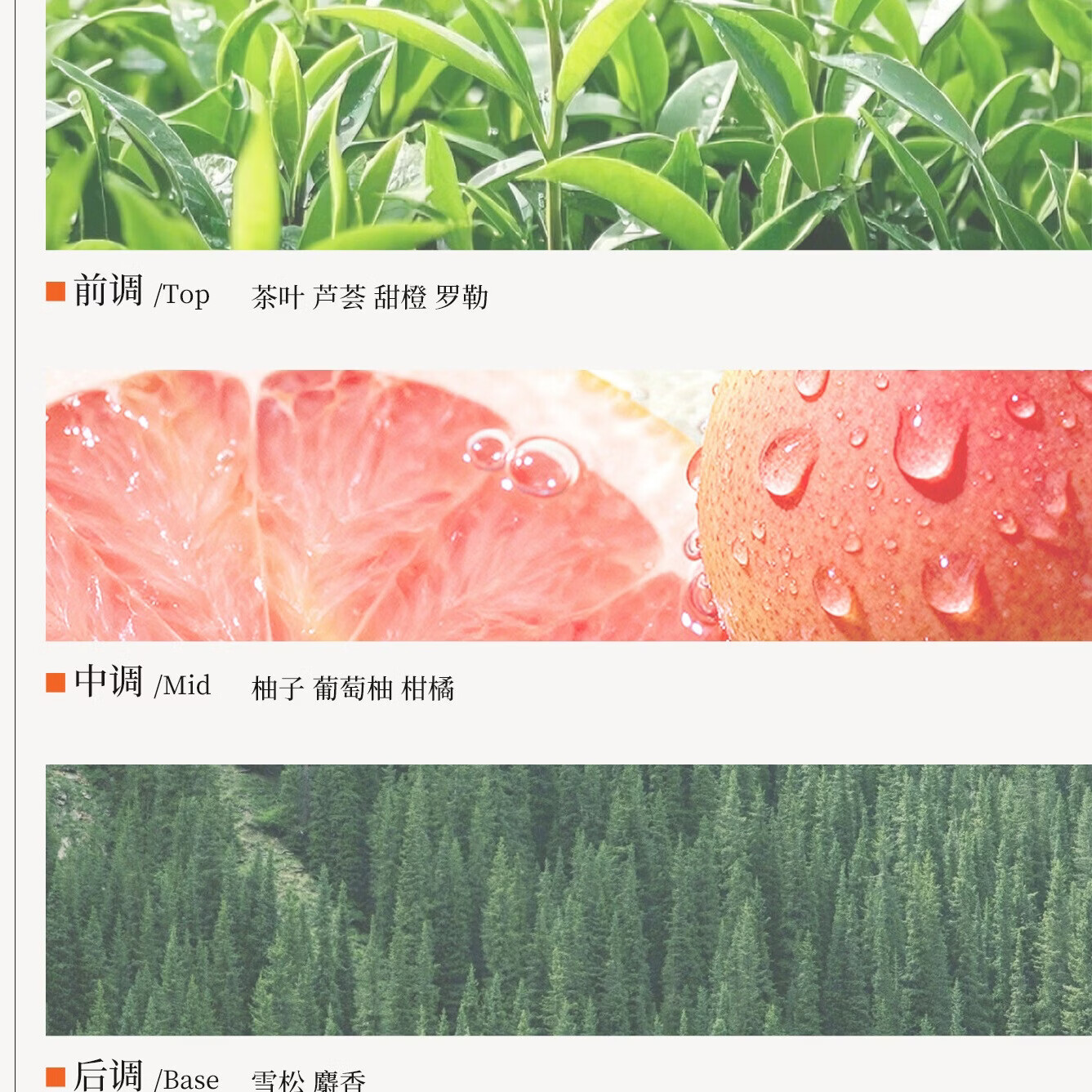 云康升级去屑止痒护发洗发水二硫化硒持久蓬松控油留香洗头膏液露洗剂 全新配方二硫化硒重度问题头屑【调理头皮环境】330g