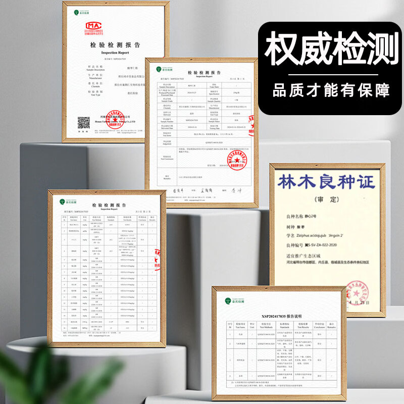 襄鹊仁酸枣仁纯粉官方正品中药材养生茶正宗内丘酸枣仁炒熟特纯 250g*1罐