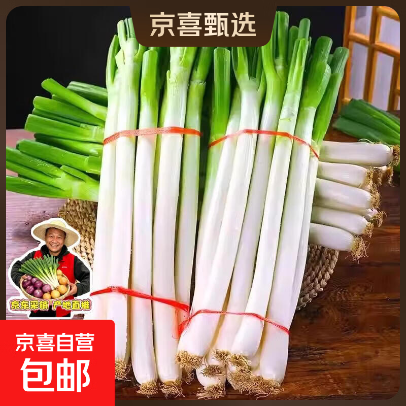 山东大葱新鲜甜葱铁杆大葱非章丘长白带皮毛葱蘸酱嫩葱批发便宜 带箱5斤净重4.5斤+