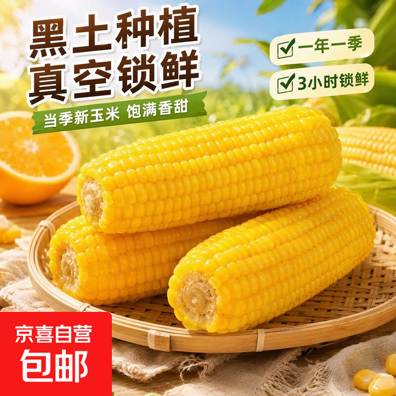 新鲜真空黄糯玉米加热即食大棒东北五常甜糯玉米早餐超市直播间 真空黄糯玉米4根*220g 净重