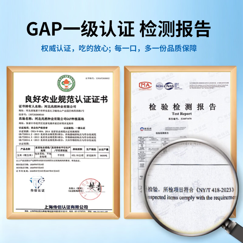 阳光粒亮甜糯白玉米软糯香甜皮薄无渣真空直抽非冻品 甜糯白玉米段800g
