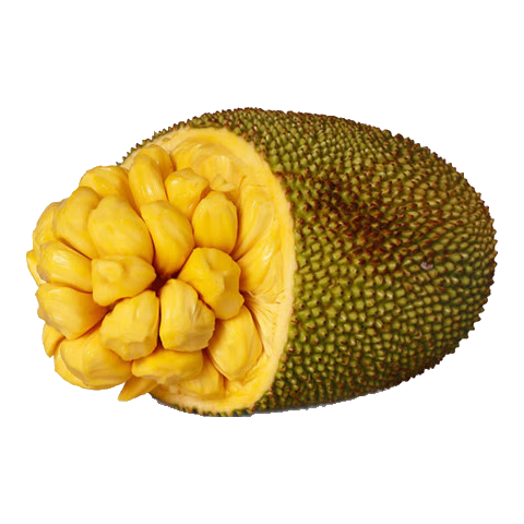 南业果（NANYEGUO）菠萝蜜海南三亚热带性新鲜水果黄肉菠萝蜜产地直发 15-20斤