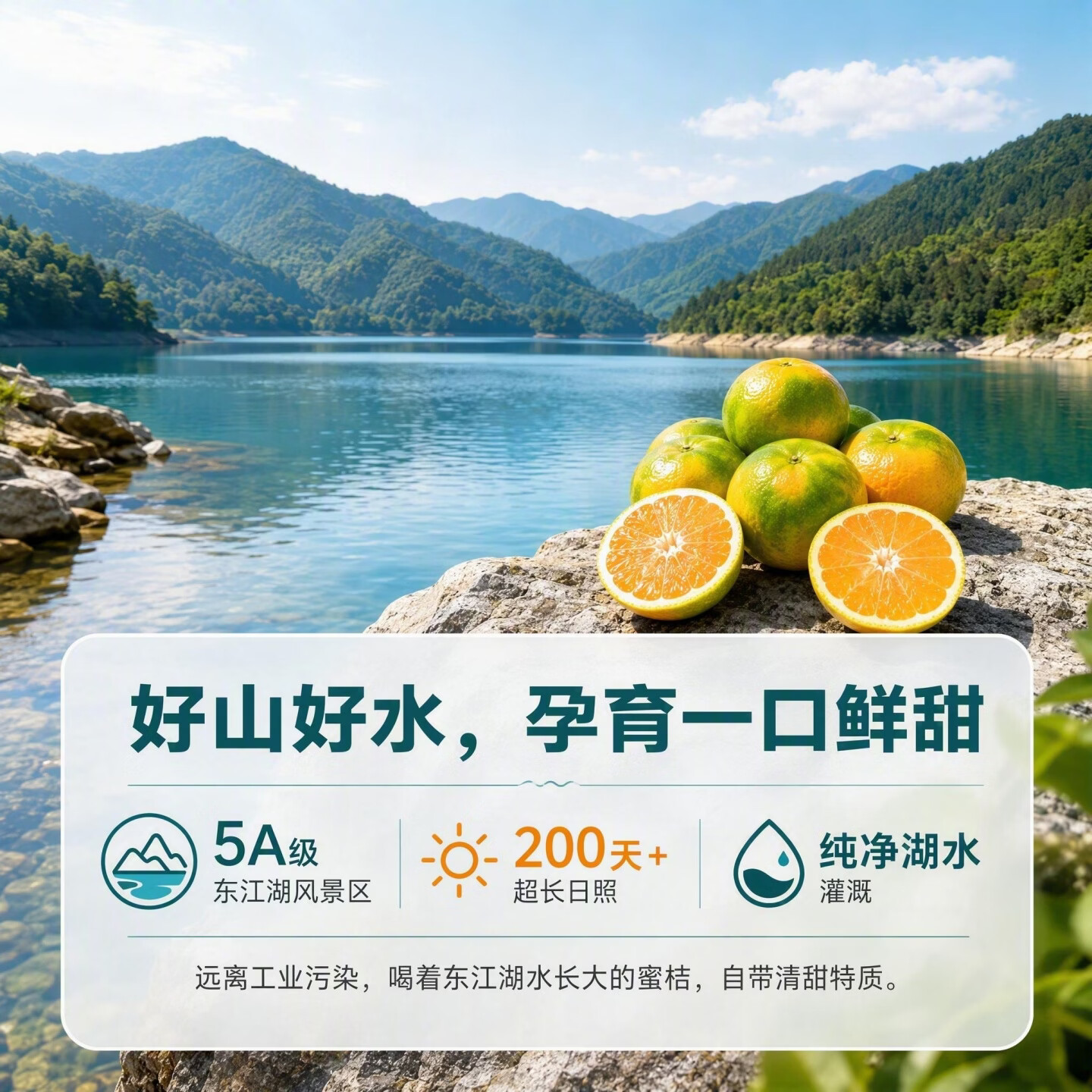 正宗湖南东江湖蜜桔郴州资兴清江蜜橘子现摘新鲜水果JD快递直发 精品大果5斤(果径60-65mm)