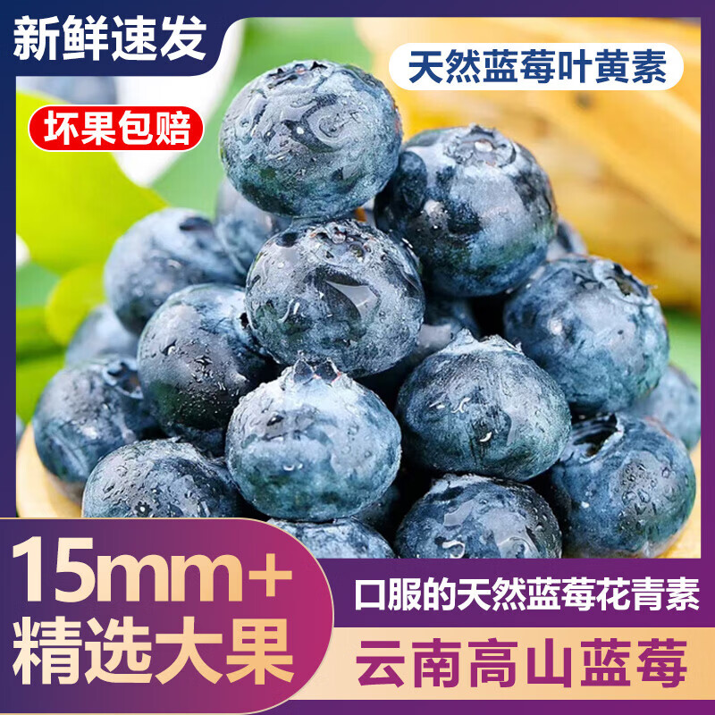 JD快递 云南蓝莓 生鲜水果 源头直发 单盒净重100g 花香蓝莓15+(100g/盒)*6盒