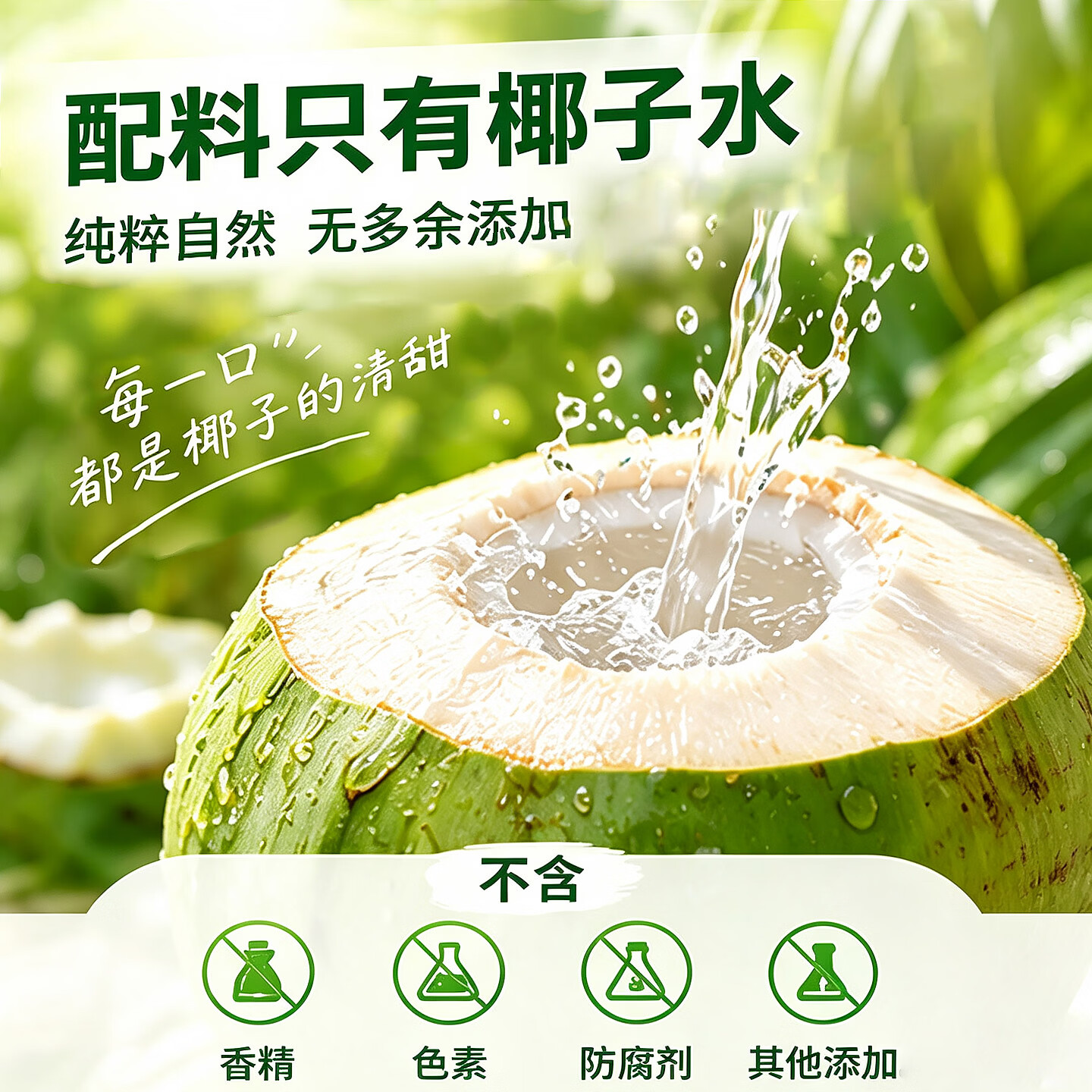 颜小萌椰子水椰汁0脂肪电解质饮料245ml瓶装便携款整箱送礼 100%椰子水245ml*10瓶