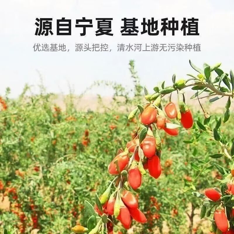 枸杞子宁夏正宗特级免洗枸杞王特一级枸杞泡水喝泡酒枸杞批发 500g枸杞精选大果两罐装 250g*2罐 总净重